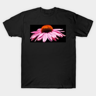 Echinacea Purpurea on White Background T-Shirt